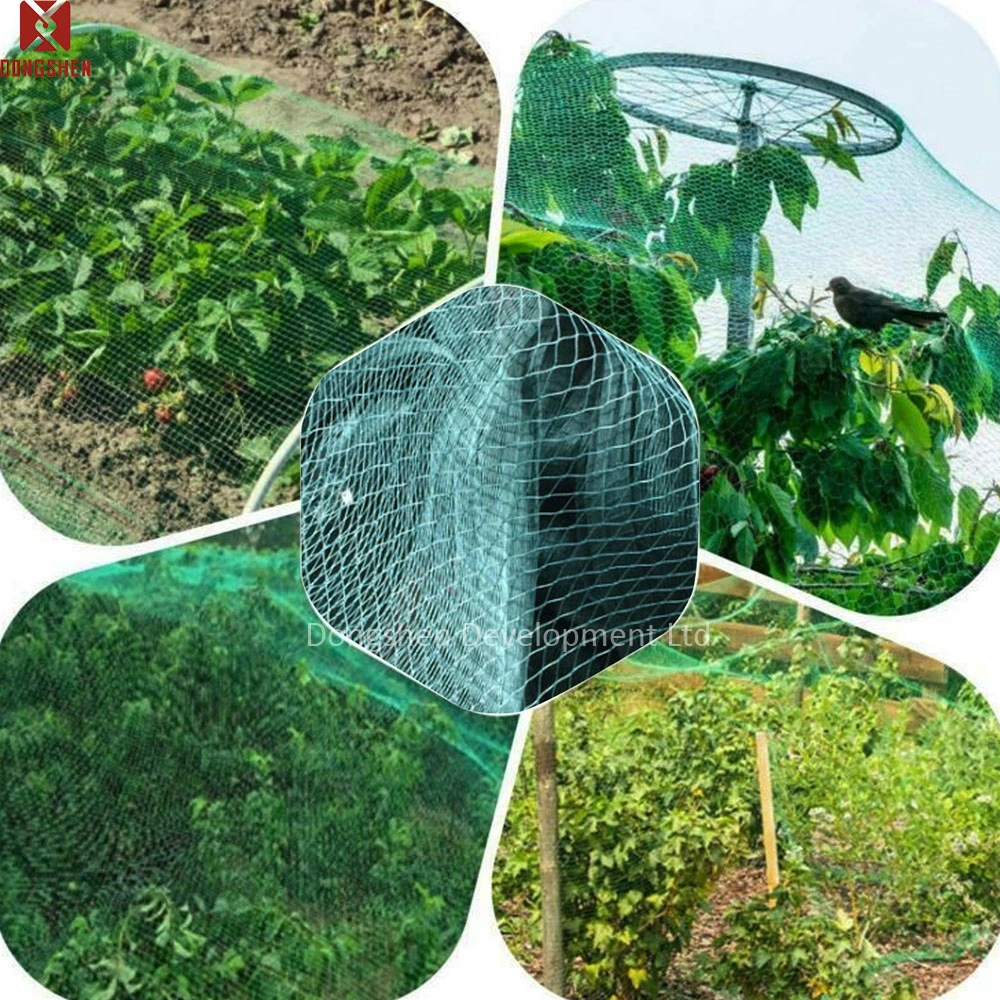 Heavy Duty HDPE UV Stabilised Knitted Poultry Plant Bird Netting Aviary Fruit Garden Protection Net