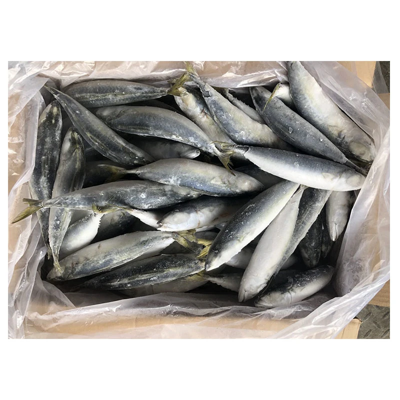 Gefrorener Makrele Pacific Cheap Price 80-100g IQF Frozen