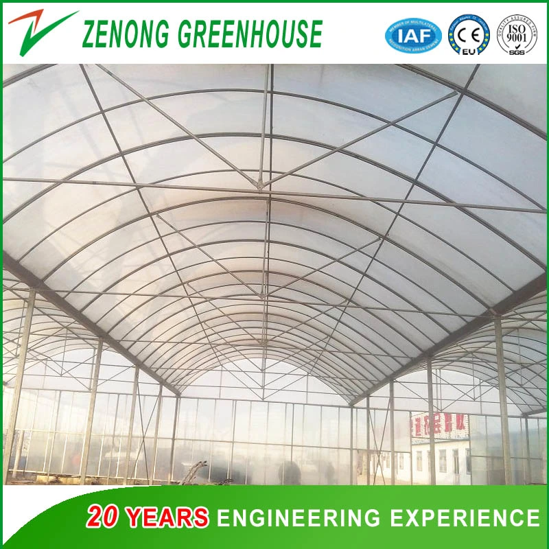 China Professional Multi-Span PE/Po Film Plastic Greenhouse for Hydroponic Growing/Experiment