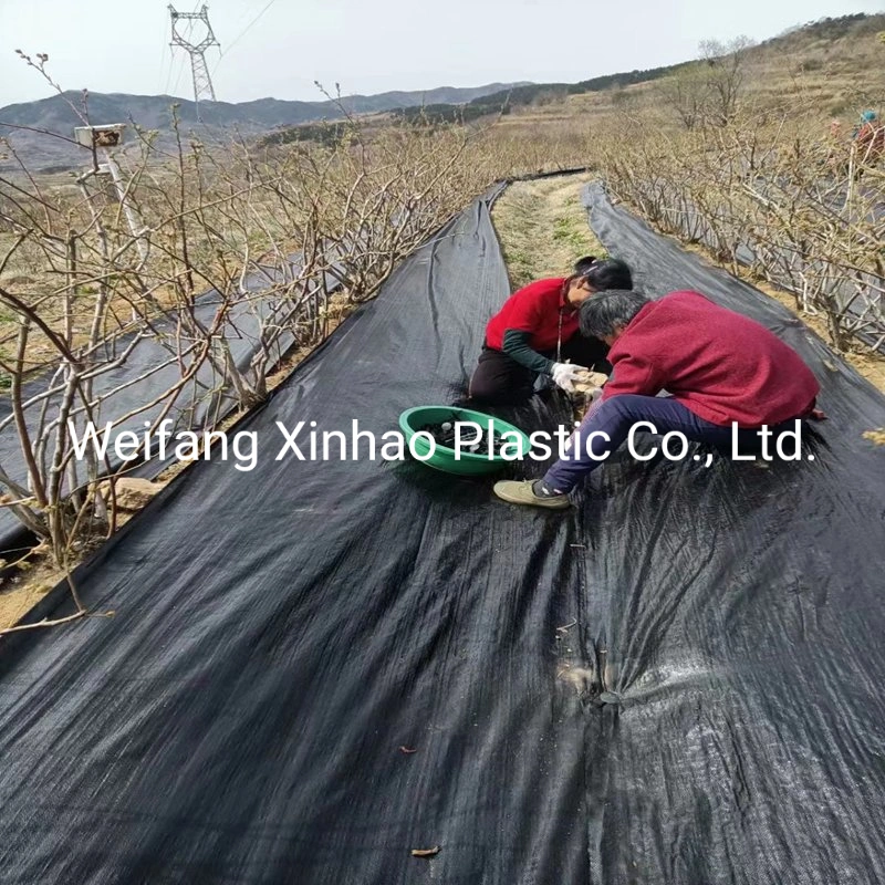 Weed Barrier Fabric Weed Control Carpet