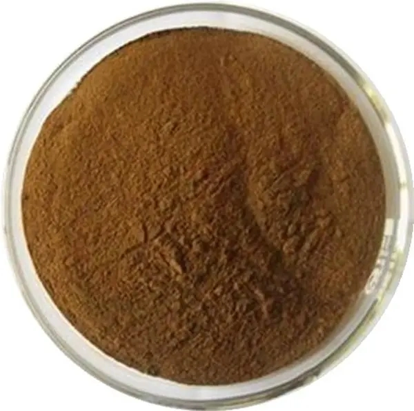 Lentinus Edodes Extract High quality/High cost performance  100% Pure Nature Organic Shiitake Mushroom Extract 30%Polysaccharides Bulk and Custom