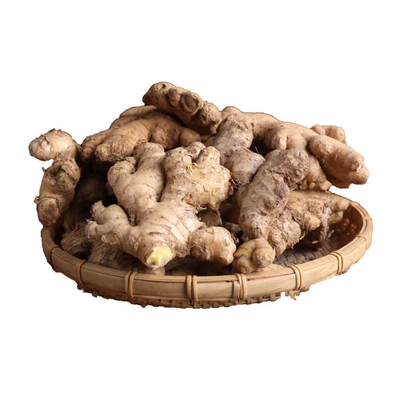 Vietnam Fresh Ginger Ginger Powder Dry Ginger - Vietnam Spices - Ginger Exporter