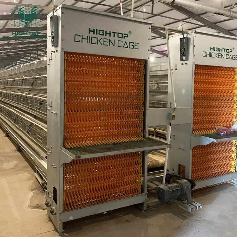 HIGHTOP 15000 Birds Capacity Automated Poultry Farm Equipment A Type Battery Chicken Cage In Ghana