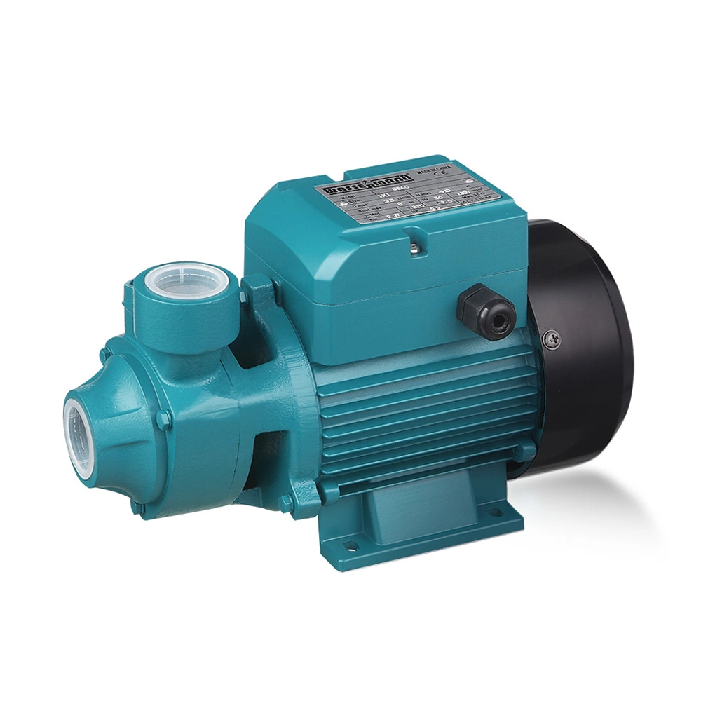 Home Use Electric Peripheral Vortex Qb60 Qb70 Pressure Boosting Domestic Water Pump