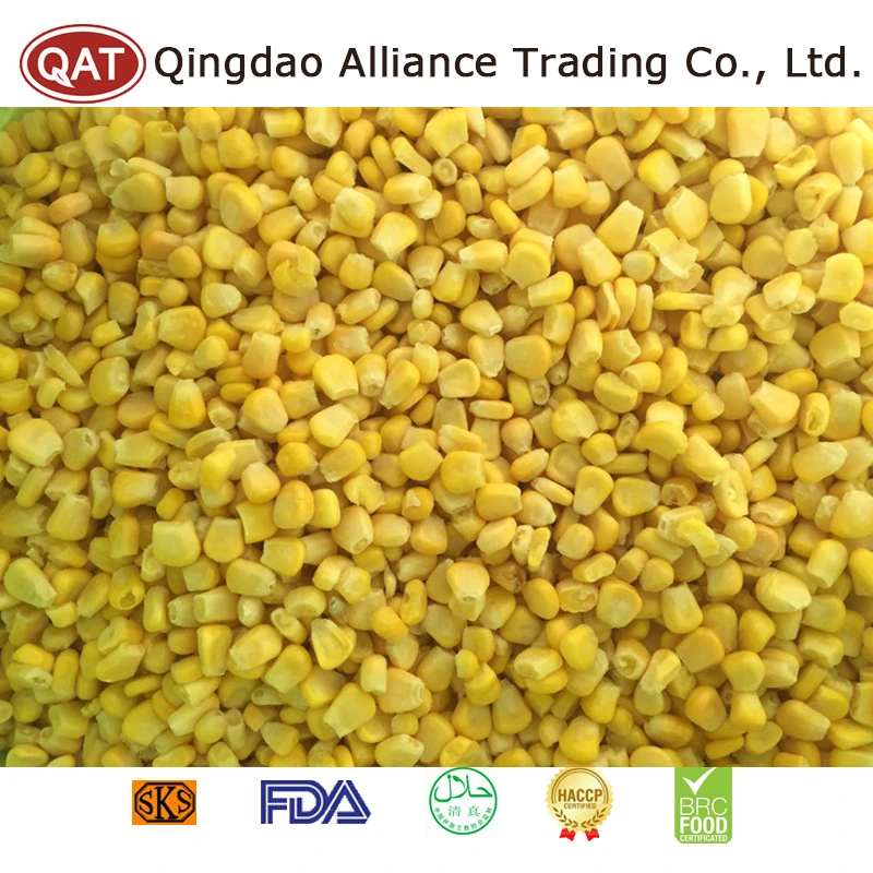 Wholesale/Supplier Bulk Price Frozen Super Sweet Corn Kernels IQF Corn with Exporting Standard