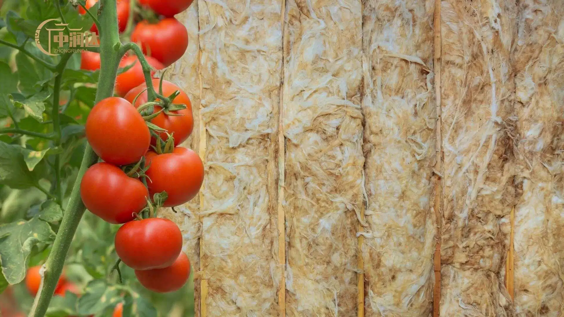 Sistema acuaponico hidropónico Medios de cultivo vertical Rock bloques de lana cubos