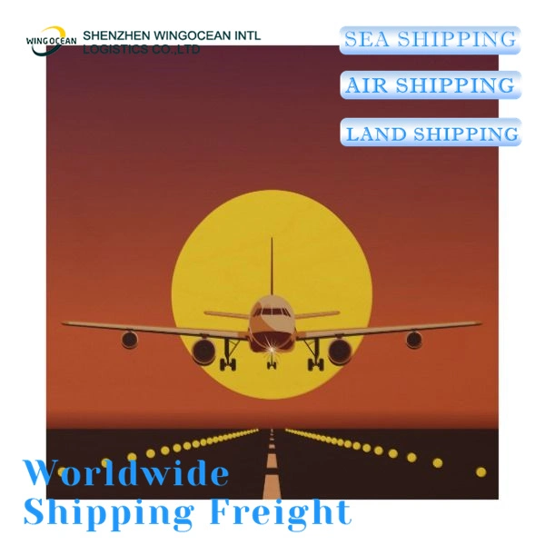 Fba DDP Shipping Serive From China to USA by Wingocean Logistics