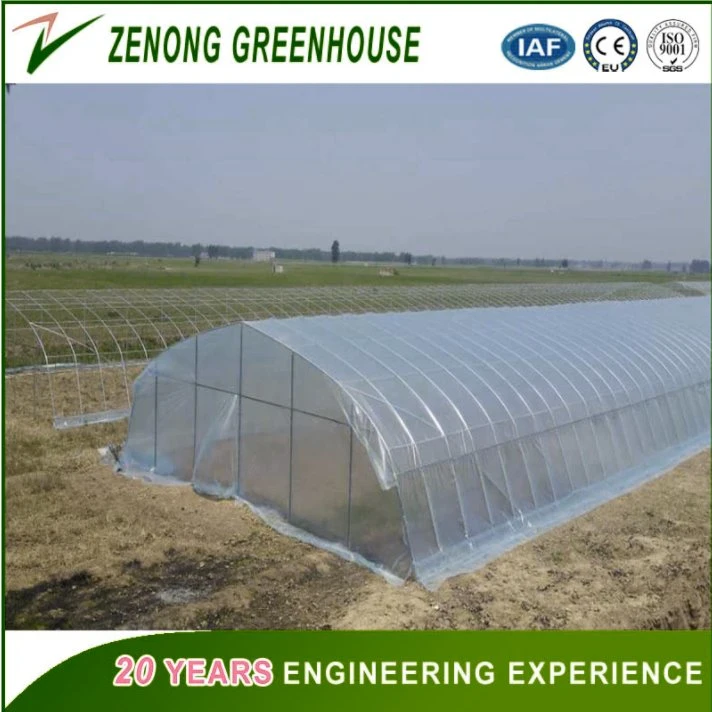 Low Cost Hot Sale Agricultural/Commercial Film Greenhouse for Flowers/Vegetables/Fruits Planting.