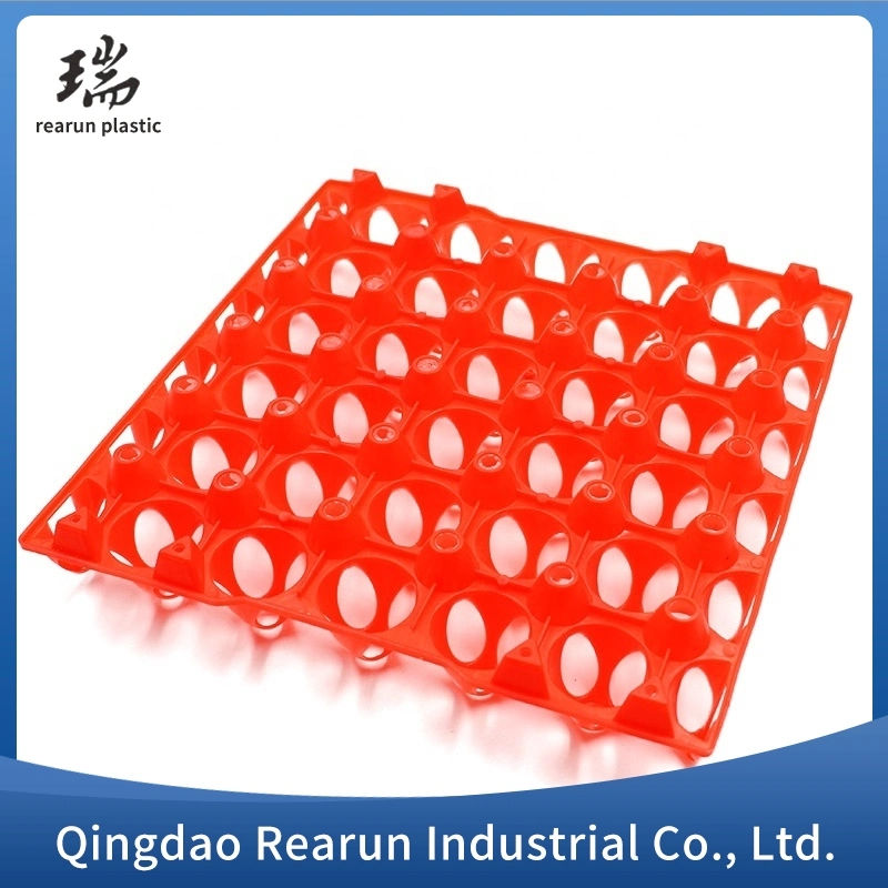 Hot Sale Plastic Egg Trays Custom Color