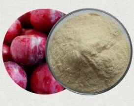 Hot Sales Natural Spray Drying Water Soluble Fruit Plum Juice Powder