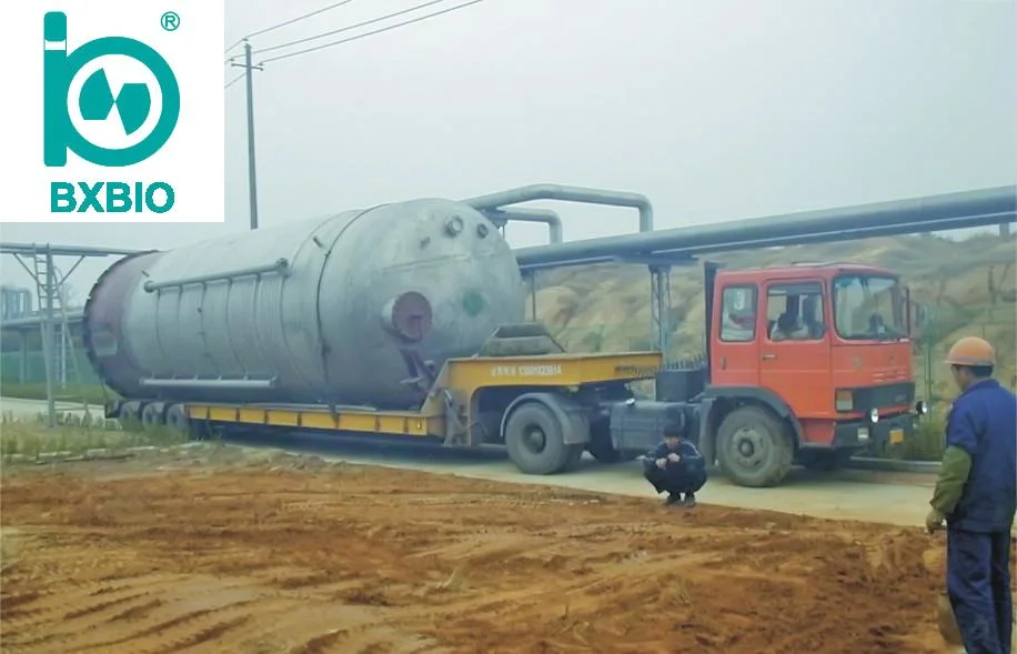 Bxbio 1t 2t Großprojekt Fermentation Tank Fermenter Bioreaktor für die Pharmaindustrie