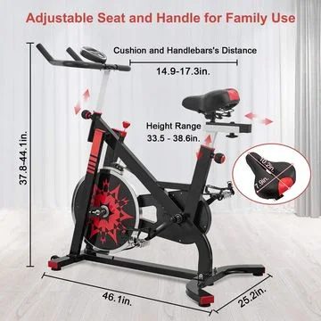 Quiet Flywheel Exercise Bike Carbon-Steel Heavy-Duty Indoor Stationary Bike with LCD