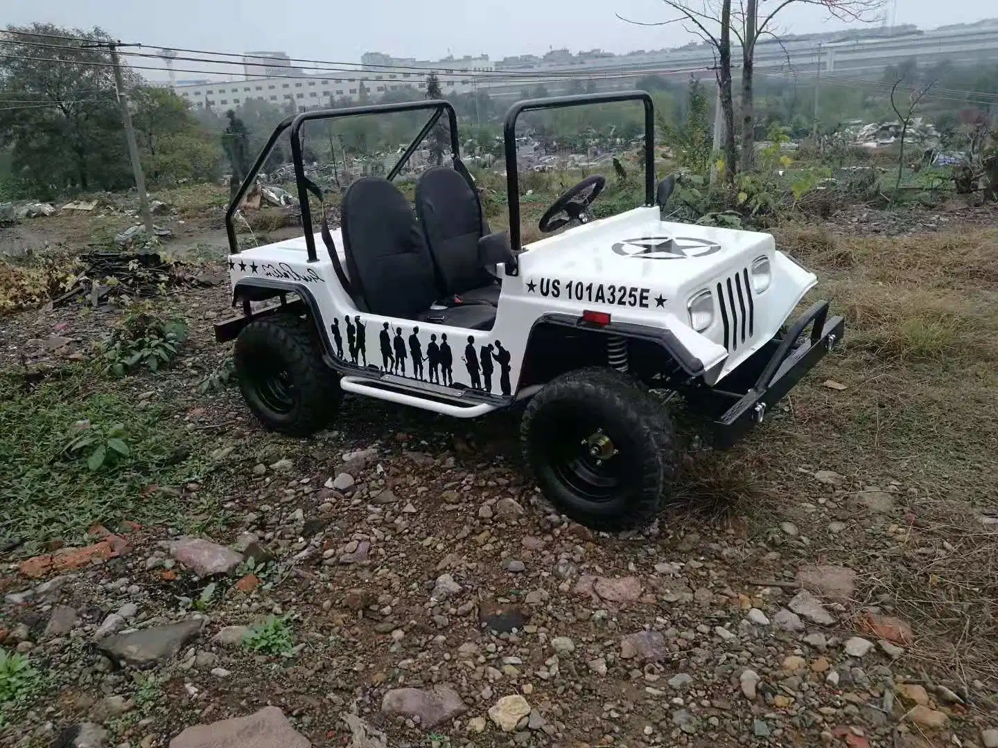 Big Power Mini Buggy Quad Bike 200cc Willys Jeeps for Sale