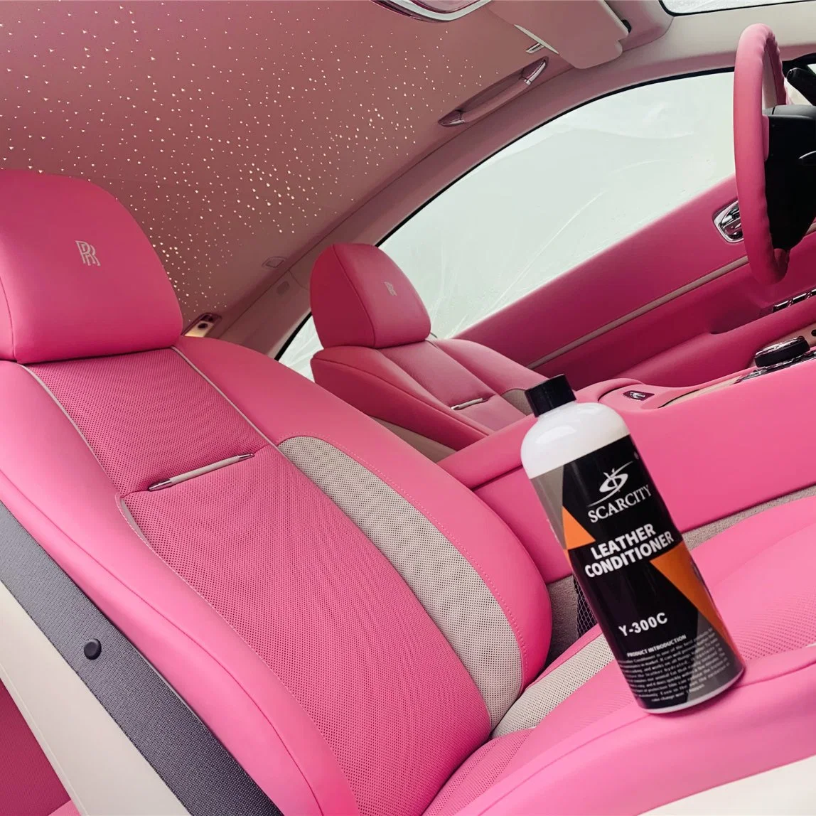 La escasez protege el cuero Polish Leather Protectant para el cuidado del coche &amp; Cuidado en el hogar