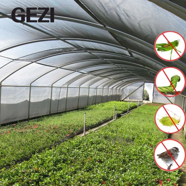 Estufa Solar de HDPE 20X10 Mesh de Insectos Net para a agricultura de uvas Garden