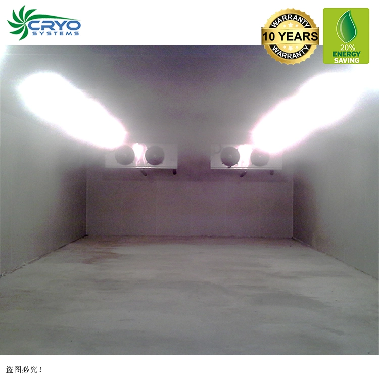 Frozen Salmon Heads Fresh Chicken Table Eggs Cold Rooms Guangzhou Ice Cream Cold Storage Room Cold Storage System