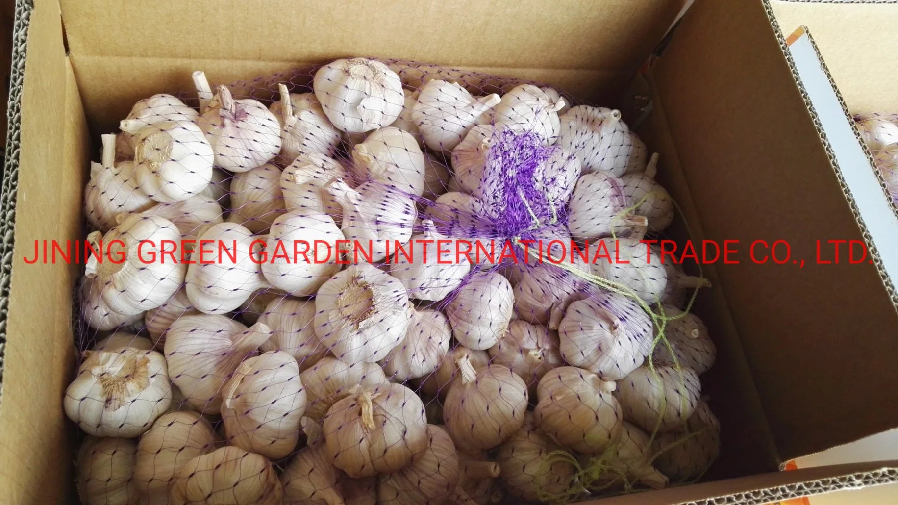 No.1 Top Quality Good Quality High Quality Cheap Price China Fresh White Garlic Normal White Snow White Pure White Vary Packing,4.5,5.0,5.5,6.0,6.5 and up Size,