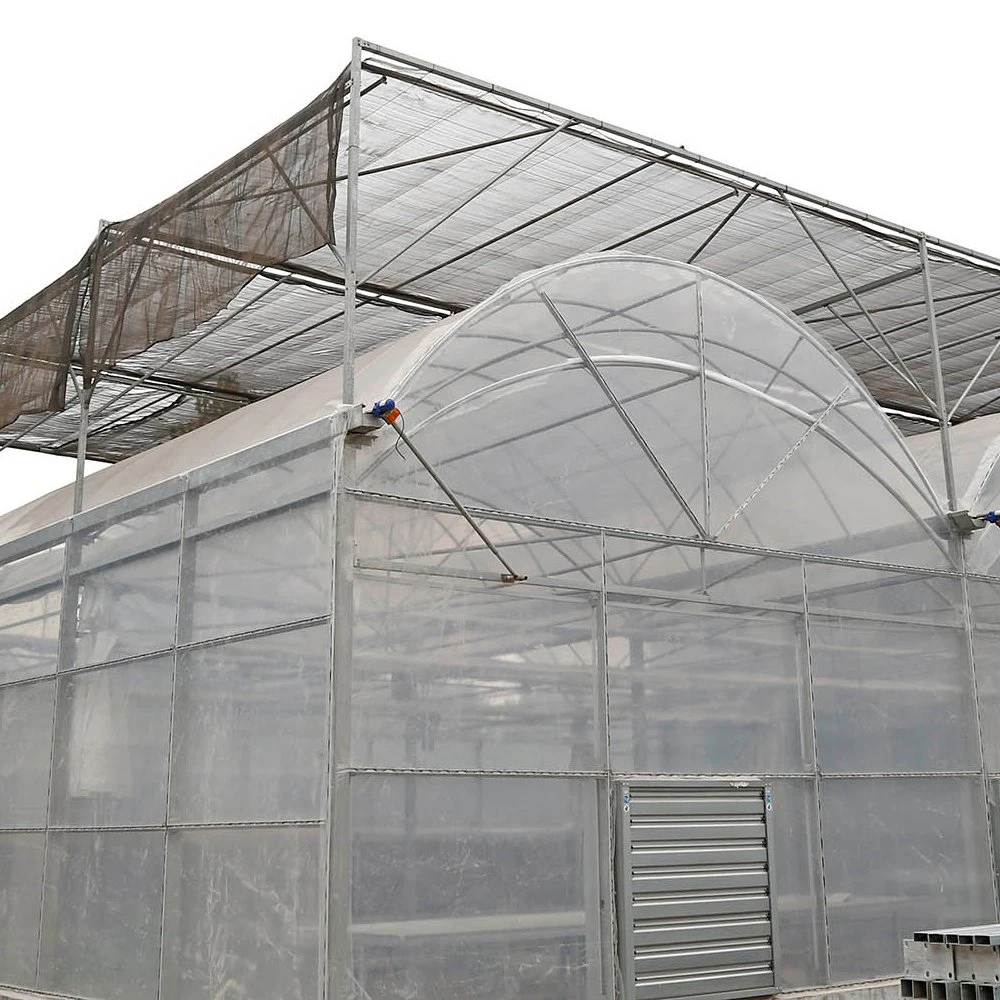 Modern Plastic Film Greenhouse with Steel Skeleton and Hot Drip Galvanized Bolt for Vegetables