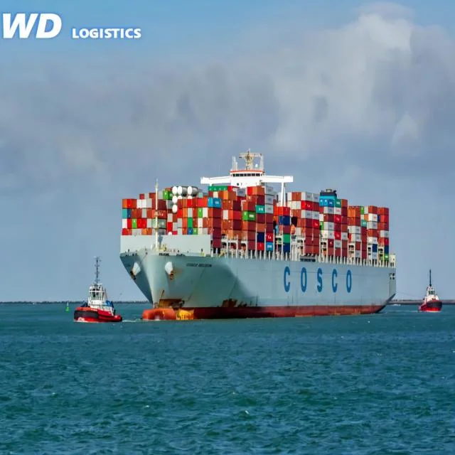 International Sea Freight Shipping Company mit Spediteur