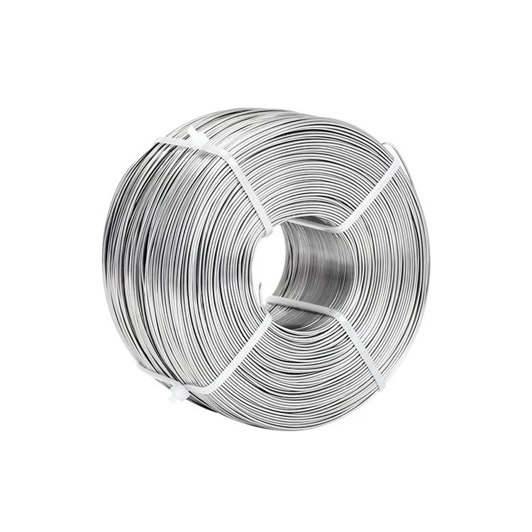 Factory Direct Sale Hot DIP Galvanized Wire/Steel Wire/Spring Wire/Stainless Steel Wire for Binging Metal Wire