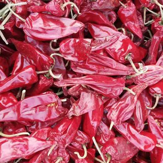 Hersteller New Crop Dehydriert Peking Red Chili