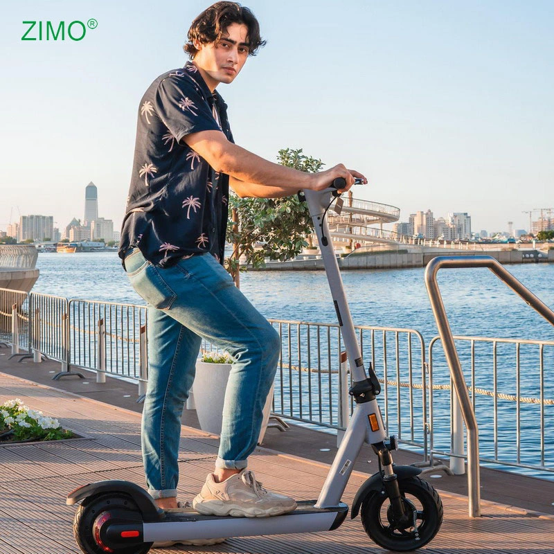 2024 GS1 350w Scooter électrique pliable Bike E Scooter