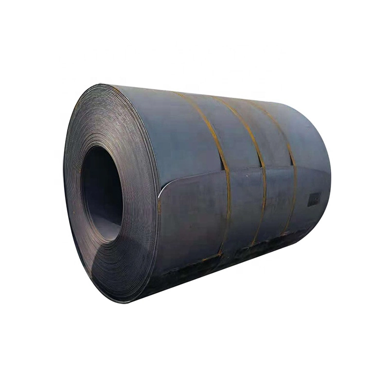 Stock 1 Year Standard Sea Packing Marine Grade Coil Carbon Steel