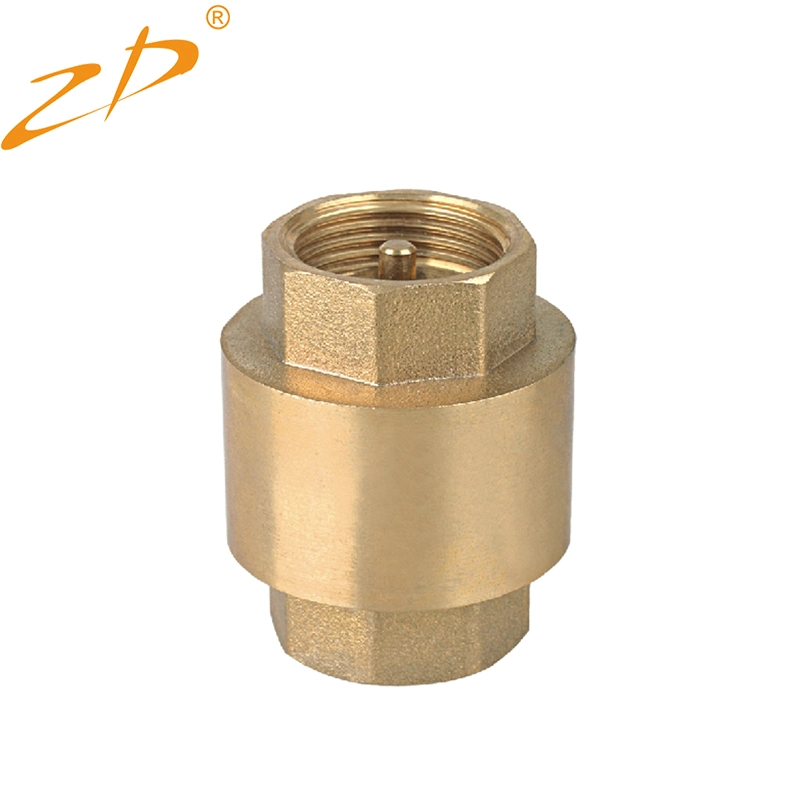 Backflow Brass Check Valve Foot Valve with SS304 Filter for Fountain Suction Hose Domestic Waterworks Garden Well Pump