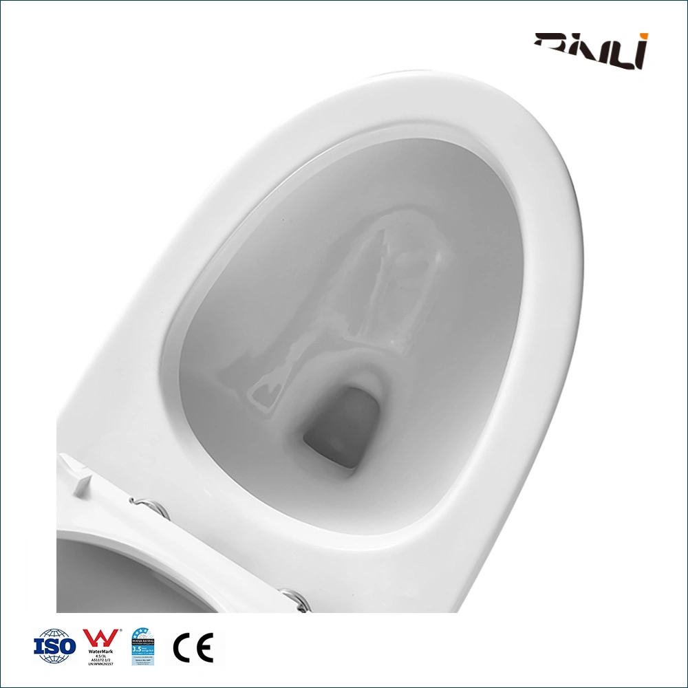 Classical One Piece Toilet Sanitary S-Trap Flushing Ceramic Commode MID East Market