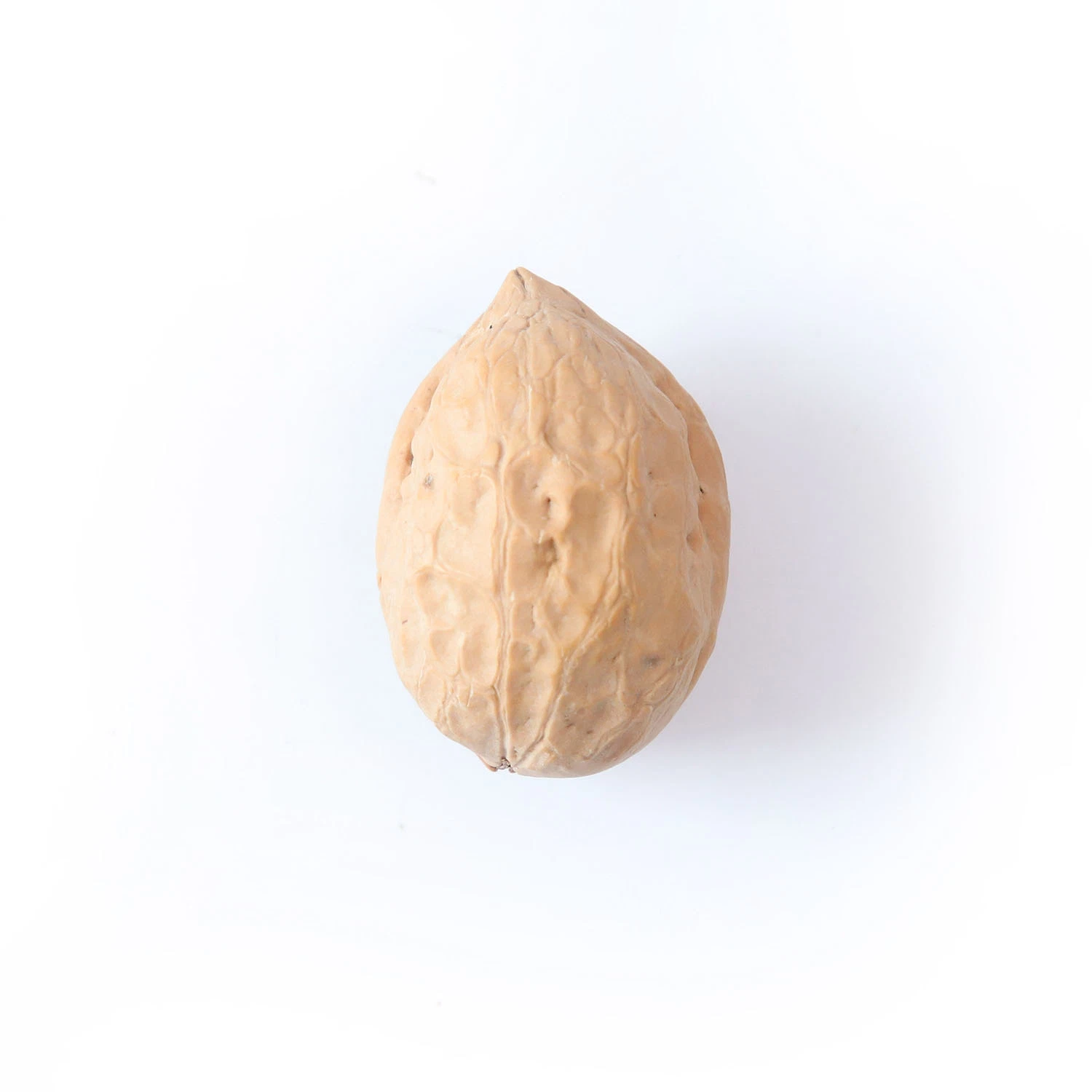 Ceviz Walnuts Xinfeng Walnut Inshell Xingfu China Dried Fruit Good Quality