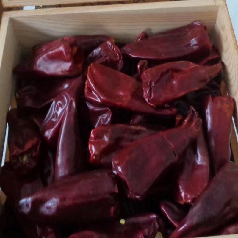 Hot Capsicum Chilli Pepper Dry Red Paprika / Sangying Chili / Yidu Chilli / Xinglong