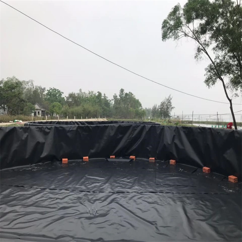 5m/6m/7m/8m Wide Geo Liner Reel Rolls PE Membrane Geomembrane in Sri-Lanka/Uganda/Ethiopia/Congo