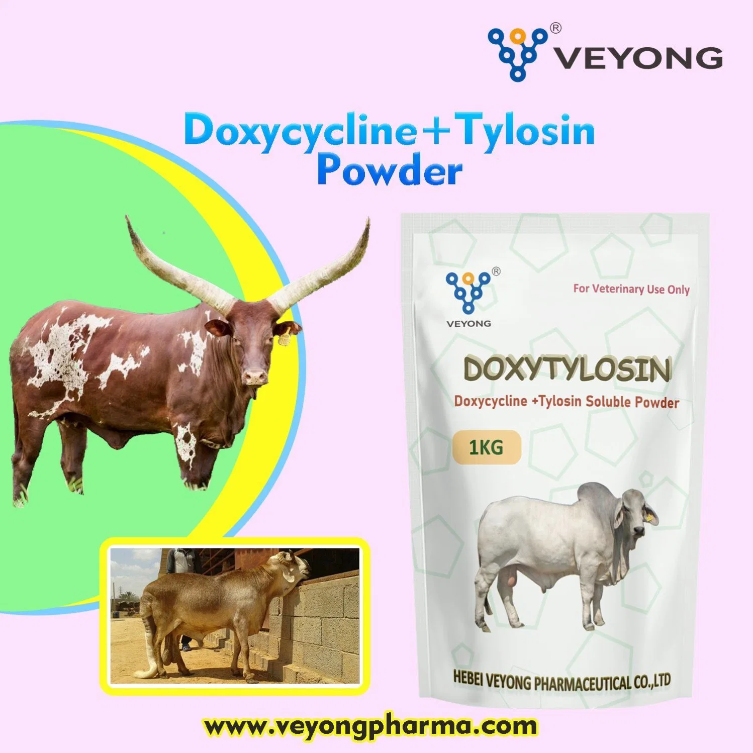 Veterinary Drug High Quality Tylosin Taratrate +Doxycycline Hyclate Water Soluble Powder for Animals