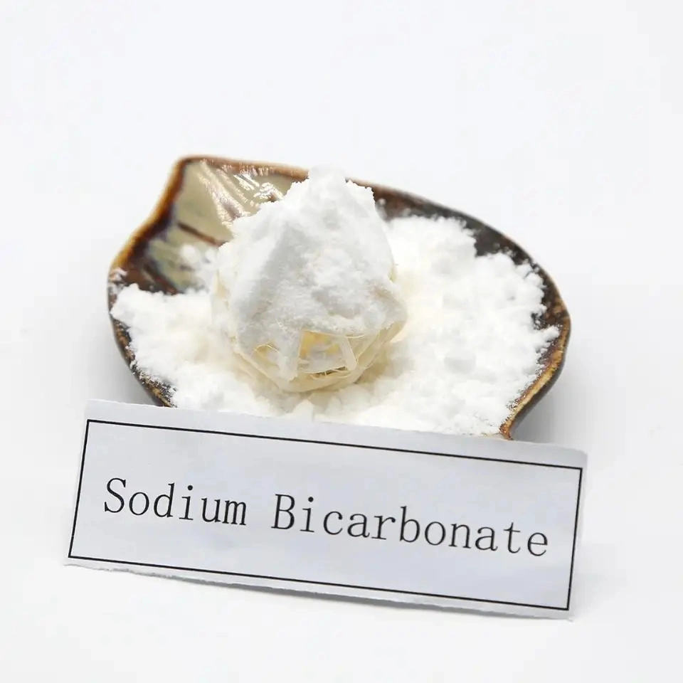 Cheaper Price Bicarbonte Sodium Ggg Sodium Bicarbonate 99% Food Grade Sodium Bicarbonate