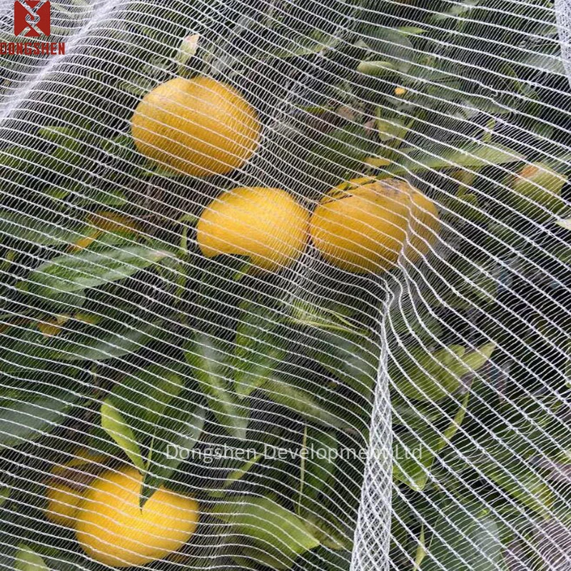 Anti Fly Mosquito Bug Netting UV Stabilised Nets HDPE Horticulture Vineyard Proof Insect Net