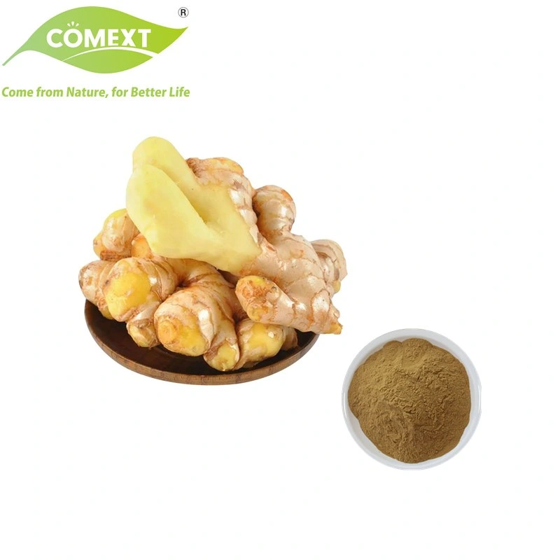 Comext Original Factory Hot Selling Stomachic Antioxidant Ginger Gingerols Extract Powder for Functional Food