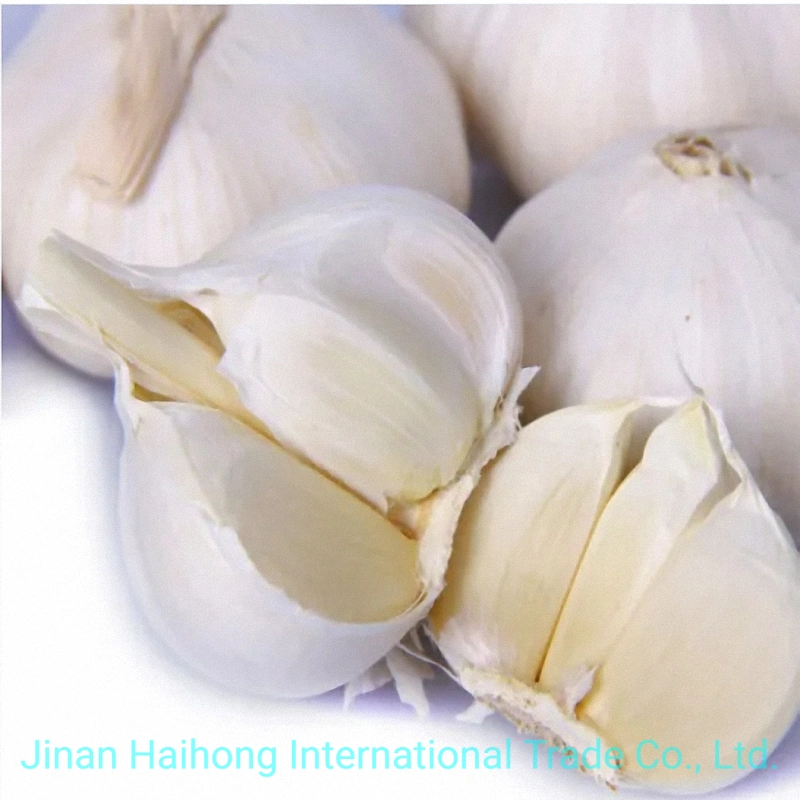 New Wholesale/Supplier Chinese Good Price Pure Fresh Dried Ordinary/Super White Fresh Garlic