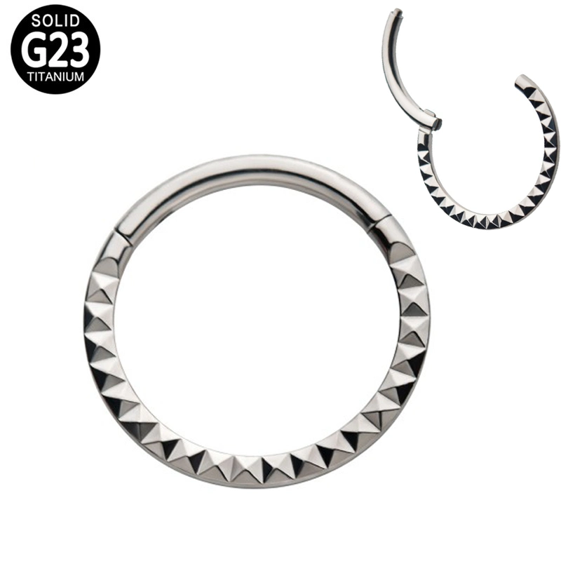 Body Piercing G23/ASTM F136 Titanium Segment Ring Cut High Polished Hinged Hoop Earring Nose Ring Titanium Jewelry