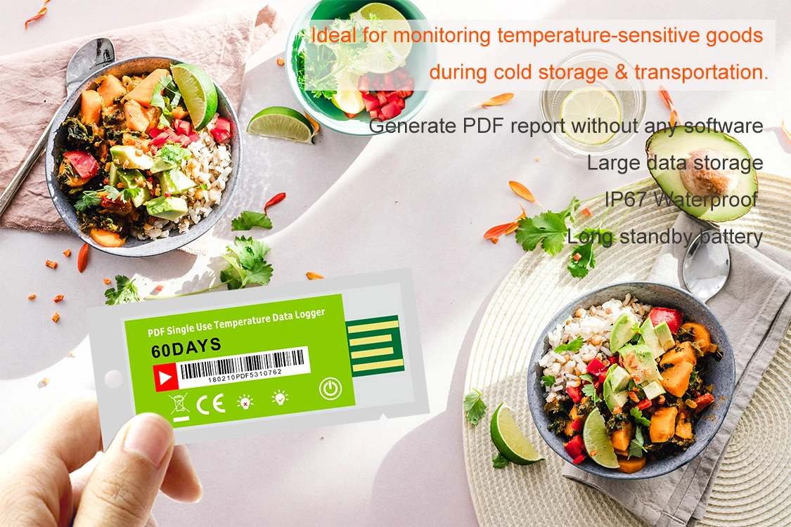 Disposable Pdf Temperature Data Logger Tracker for Cold Chain Logistic