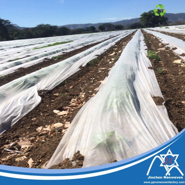 100%Polyprpopylene Nonwoven Fabric for Agriculture Ground Crop Cover