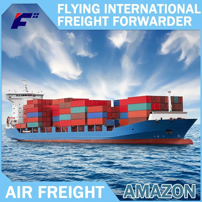 From China Sea Freight Forwarder to Yemen Shipping Agent Logistics Forwarder Service
