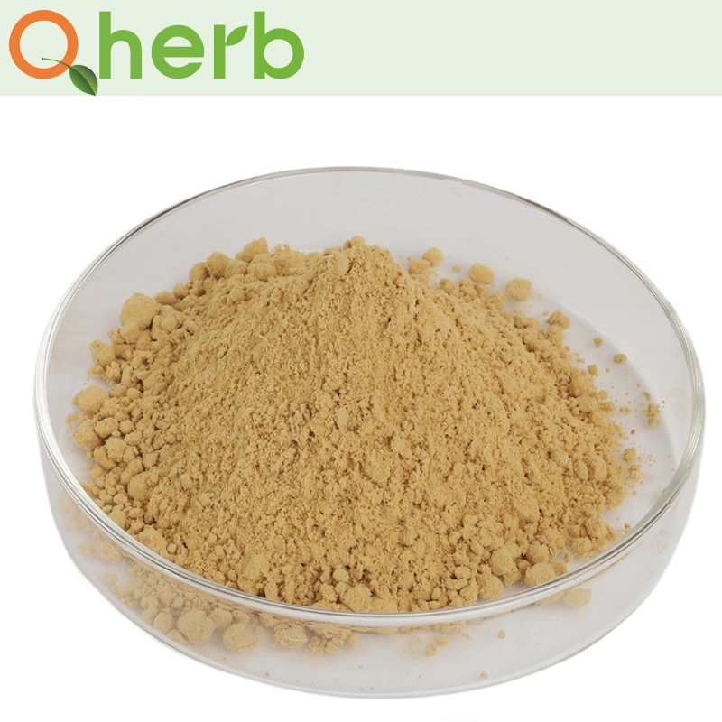 Natural Hippophae Rhamnoides Sea Buckthorn Fruit Powder with Free Sample