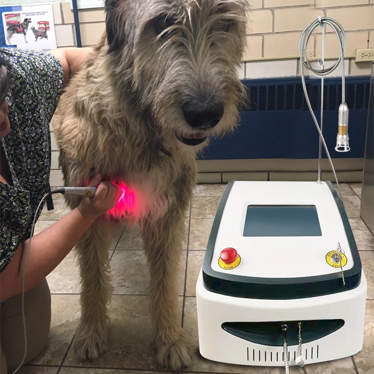 New Technology 2020 Tennis Ellenbogen-Massagegerät Zahnschmerzen Linderung Wirbelsäule Therapie Ausrüstung Veterinärphysiotherapie Foto