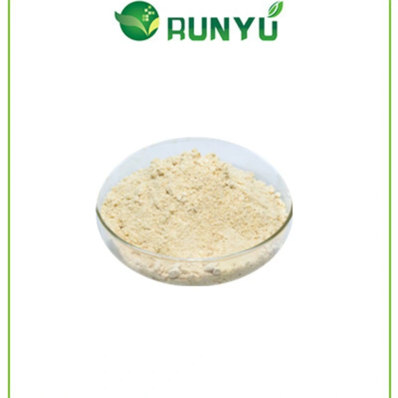 ISO Cerfification Ginsenoside 50%UV Ginsenoside 80%UV Ginseng Herbal Extract