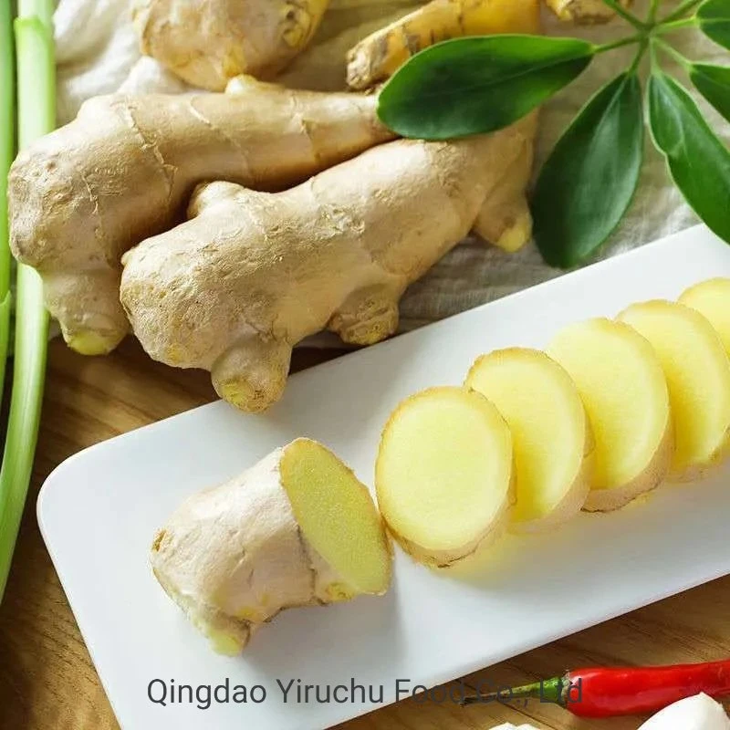 Chinese Dehydrated Vegetable Exporters Dried Ginger Slices/Ginger Dry Herbs Bulk