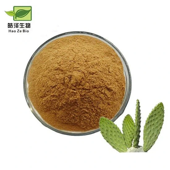 Anti-Inflammatory High quality/High cost performance  Best Price Herbal Extract Cactus Extract