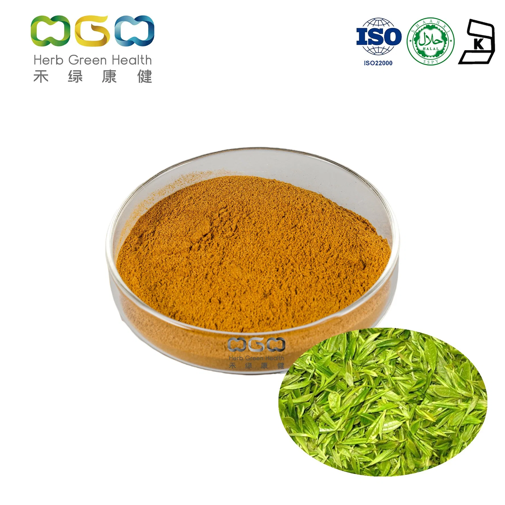 Great Price Beverage Instant Green Tea Powder Tea with Polyphenol>20%