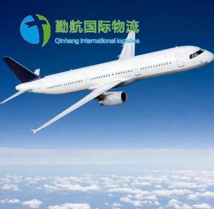 China Logistics Air Cargo Food Shipping Quick Shipping Service Freight Service to Uzbekistan