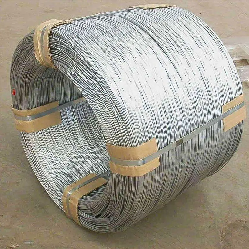 Rjh Hot-DIP Galvanized Wire 1.2mm-10mm Galvanized Wire Rod Lightning Protection Grounding Galvanized Coil 12