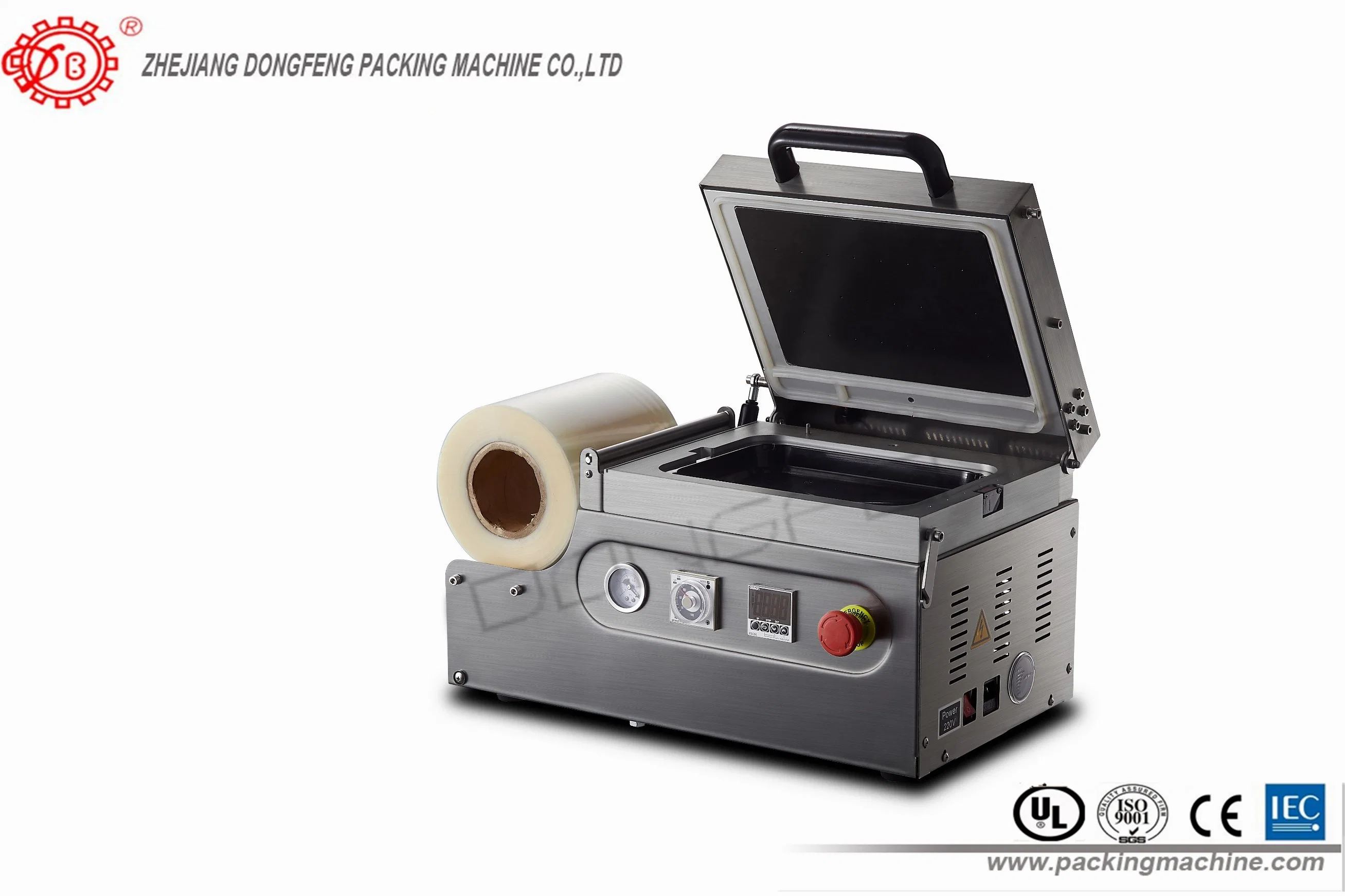 Skin Food Vacuum Packing Machine (ZT-260)